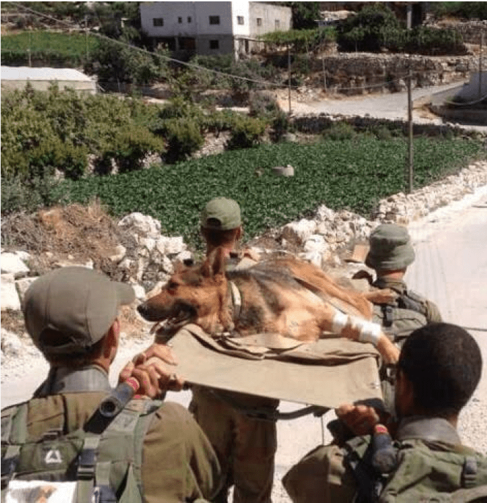 4 Israeli soldiers and wounded German Shephard