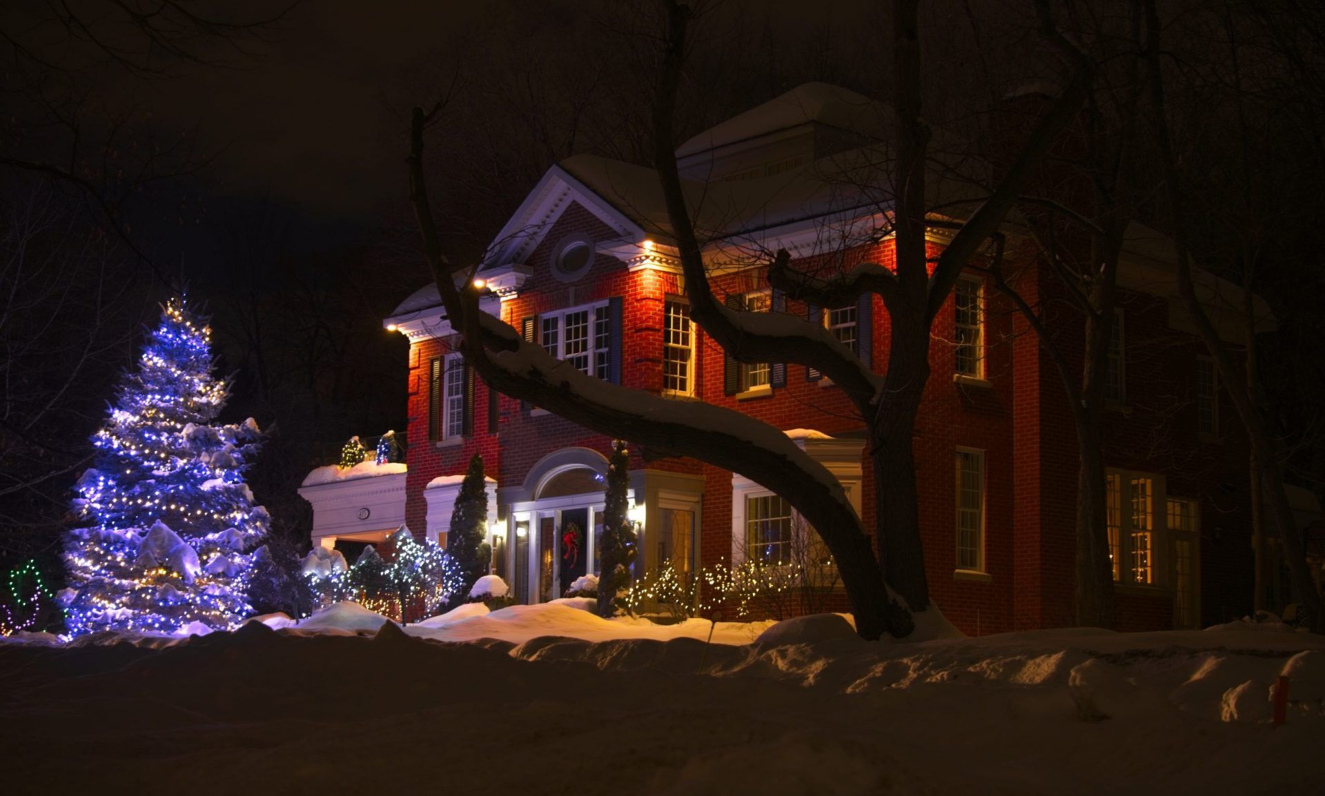 mRNA tests cancelled, Multiculturalism and lapidation, (harsh) Alice